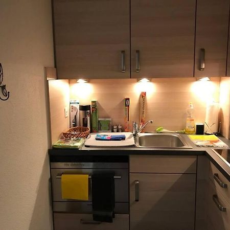 Beautiful 2.5 Room Apartment In Luzern Eksteriør bilde