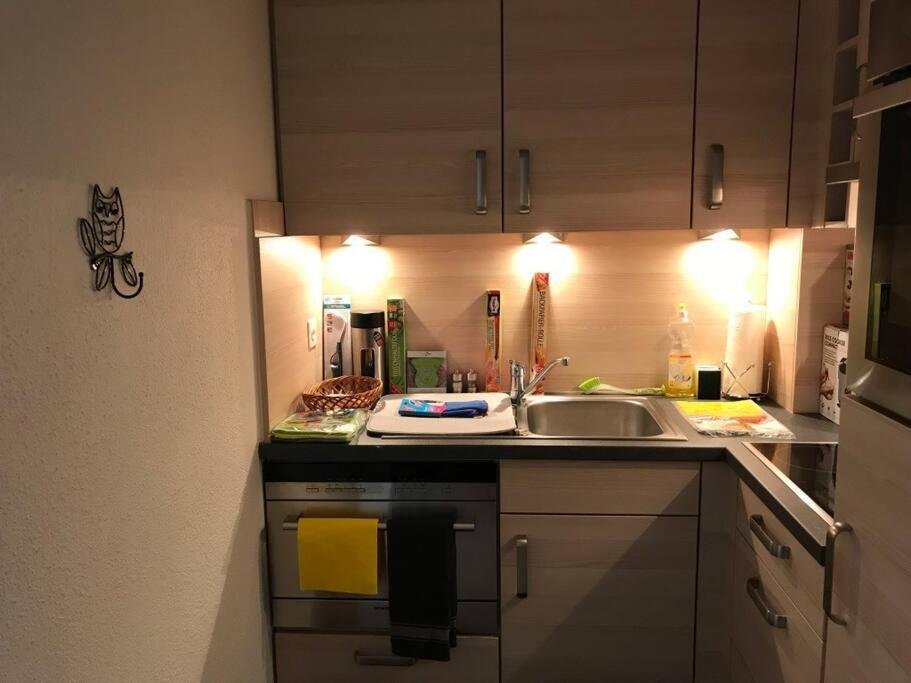 Beautiful 2.5 Room Apartment In Luzern Eksteriør bilde