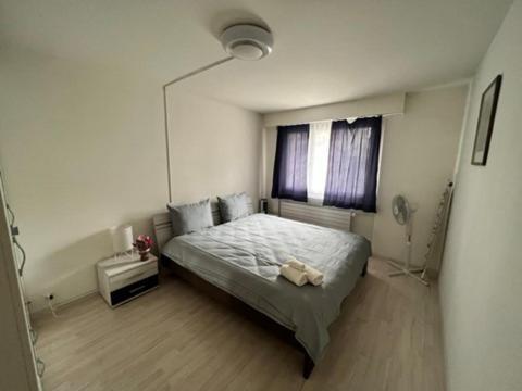 Beautiful 2.5 Room Apartment In Luzern Eksteriør bilde